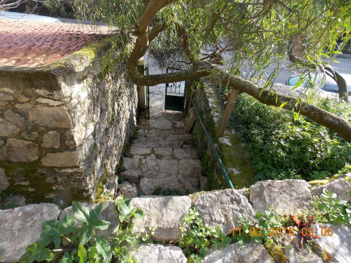 Almond Trees Cottage Divarata Exteriér fotografie